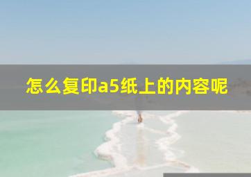 怎么复印a5纸上的内容呢