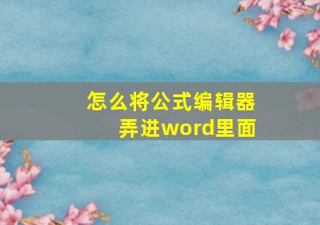 怎么将公式编辑器弄进word里面