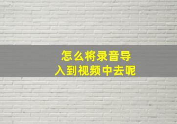 怎么将录音导入到视频中去呢