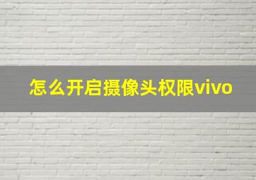 怎么开启摄像头权限vivo