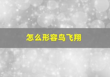 怎么形容鸟飞翔