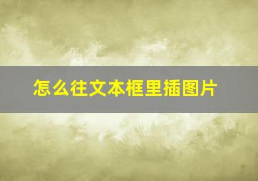 怎么往文本框里插图片