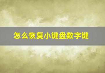 怎么恢复小键盘数字键