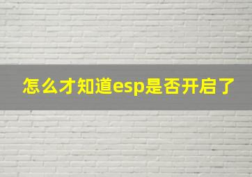 怎么才知道esp是否开启了