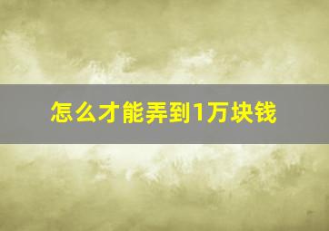 怎么才能弄到1万块钱