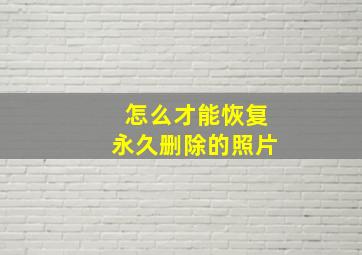 怎么才能恢复永久删除的照片