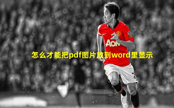 怎么才能把pdf图片放到word里显示