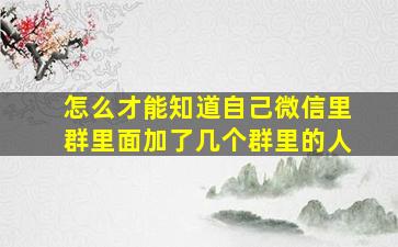 怎么才能知道自己微信里群里面加了几个群里的人