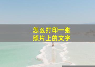 怎么打印一张照片上的文字