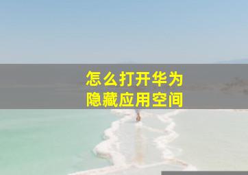 怎么打开华为隐藏应用空间