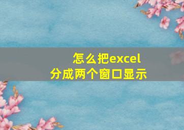 怎么把excel分成两个窗口显示