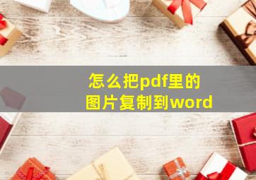 怎么把pdf里的图片复制到word