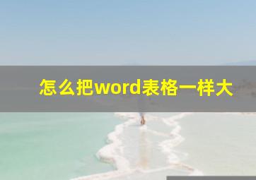 怎么把word表格一样大