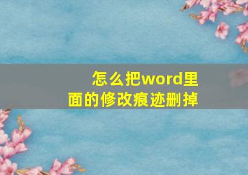 怎么把word里面的修改痕迹删掉