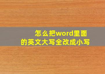 怎么把word里面的英文大写全改成小写