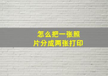 怎么把一张照片分成两张打印