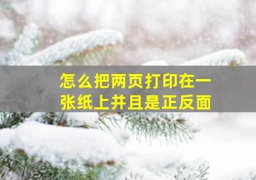 怎么把两页打印在一张纸上并且是正反面