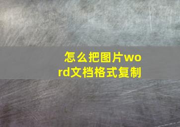 怎么把图片word文档格式复制