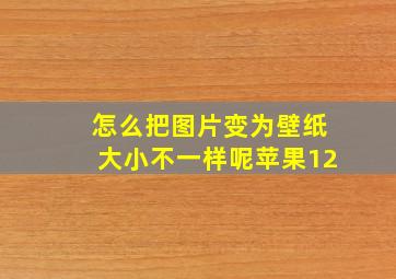 怎么把图片变为壁纸大小不一样呢苹果12