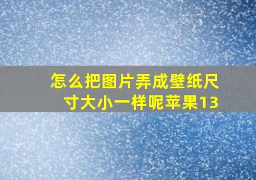 怎么把图片弄成壁纸尺寸大小一样呢苹果13