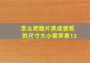 怎么把图片弄成壁纸的尺寸大小呢苹果12