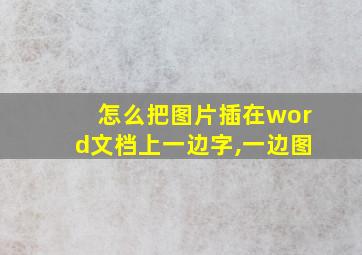 怎么把图片插在word文档上一边字,一边图