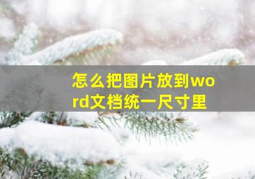 怎么把图片放到word文档统一尺寸里