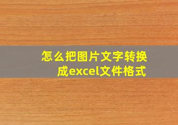 怎么把图片文字转换成excel文件格式