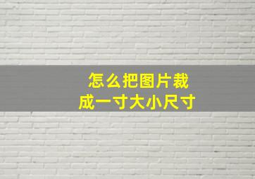 怎么把图片裁成一寸大小尺寸