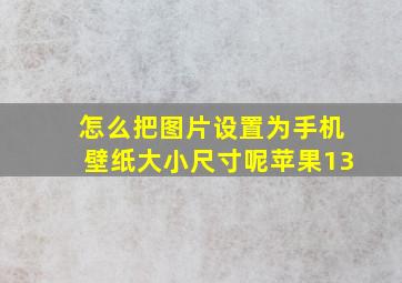 怎么把图片设置为手机壁纸大小尺寸呢苹果13