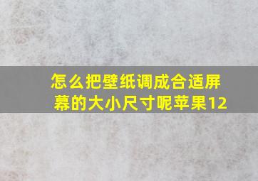 怎么把壁纸调成合适屏幕的大小尺寸呢苹果12