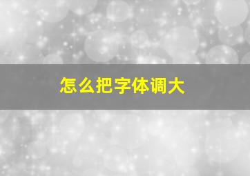 怎么把字体调大