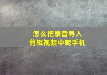 怎么把录音导入剪辑视频中呢手机