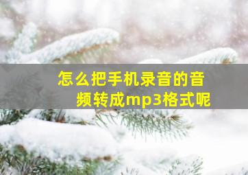 怎么把手机录音的音频转成mp3格式呢