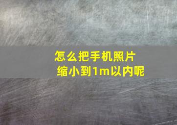 怎么把手机照片缩小到1m以内呢