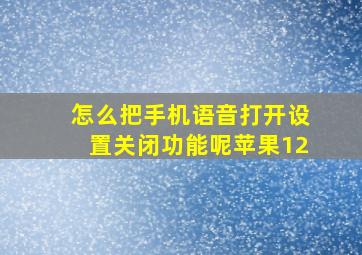 怎么把手机语音打开设置关闭功能呢苹果12