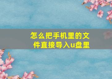 怎么把手机里的文件直接导入u盘里