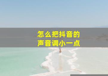 怎么把抖音的声音调小一点