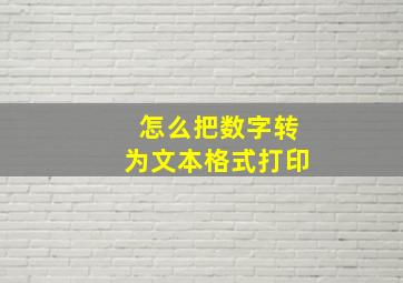 怎么把数字转为文本格式打印