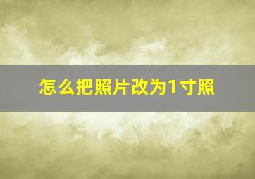 怎么把照片改为1寸照