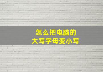 怎么把电脑的大写字母变小写