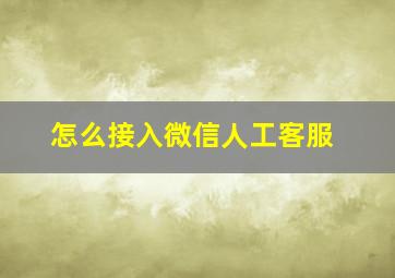 怎么接入微信人工客服