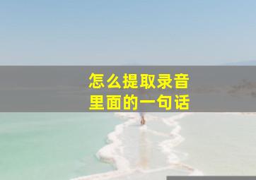 怎么提取录音里面的一句话