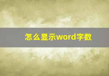 怎么显示word字数