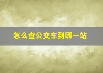 怎么查公交车到哪一站