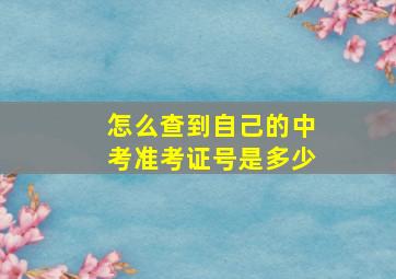 怎么查到自己的中考准考证号是多少