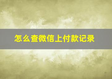 怎么查微信上付款记录