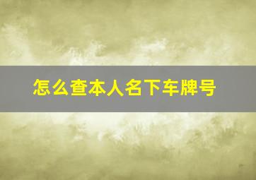 怎么查本人名下车牌号