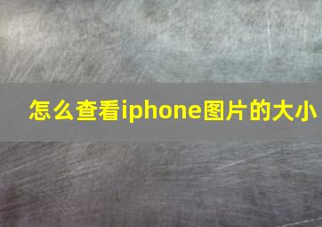 怎么查看iphone图片的大小