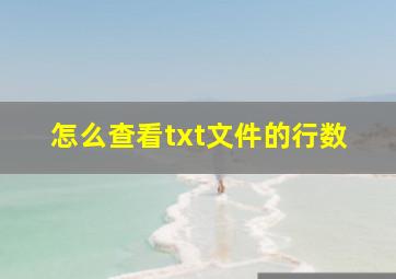 怎么查看txt文件的行数